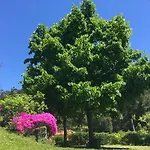 Out Of Town