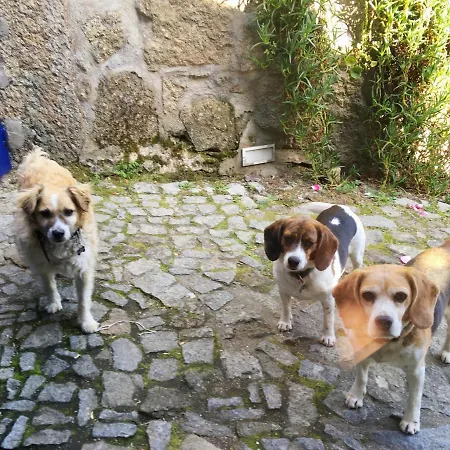 旅馆 Out Of Town *