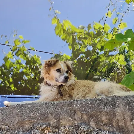 Out Of Town 旅馆 派瓦堡