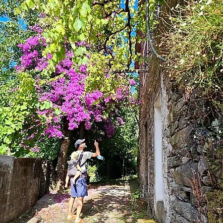 旅馆 Out Of Town