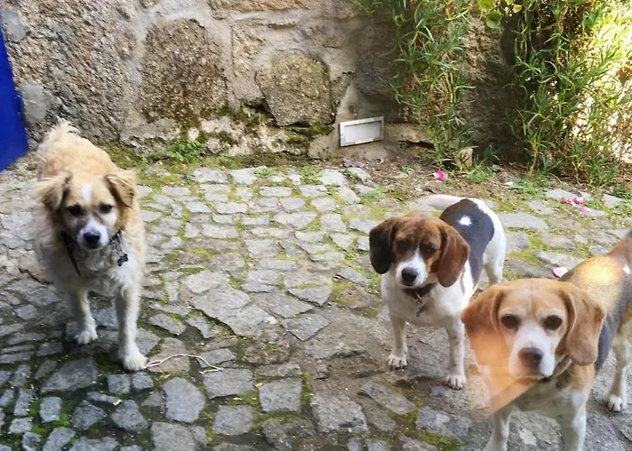 Hostel Out Of Town *