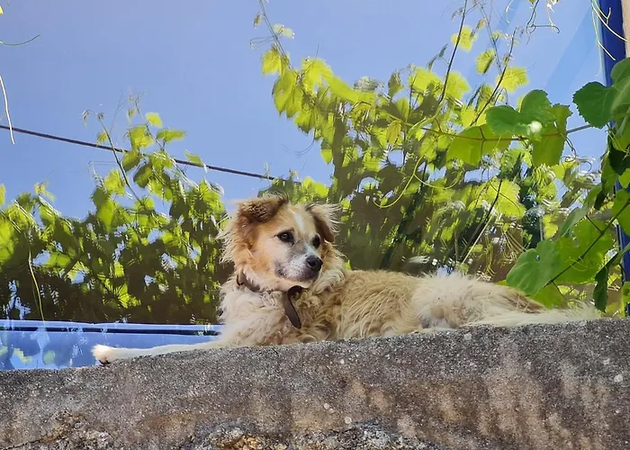 Out Of Town Hostel Castelo de Paiva